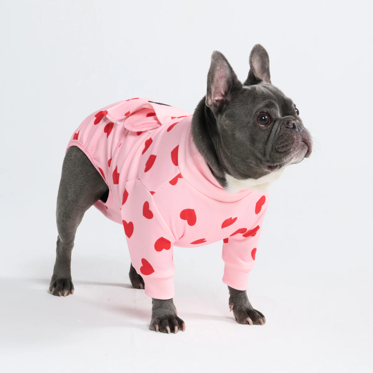 Miniatura 11